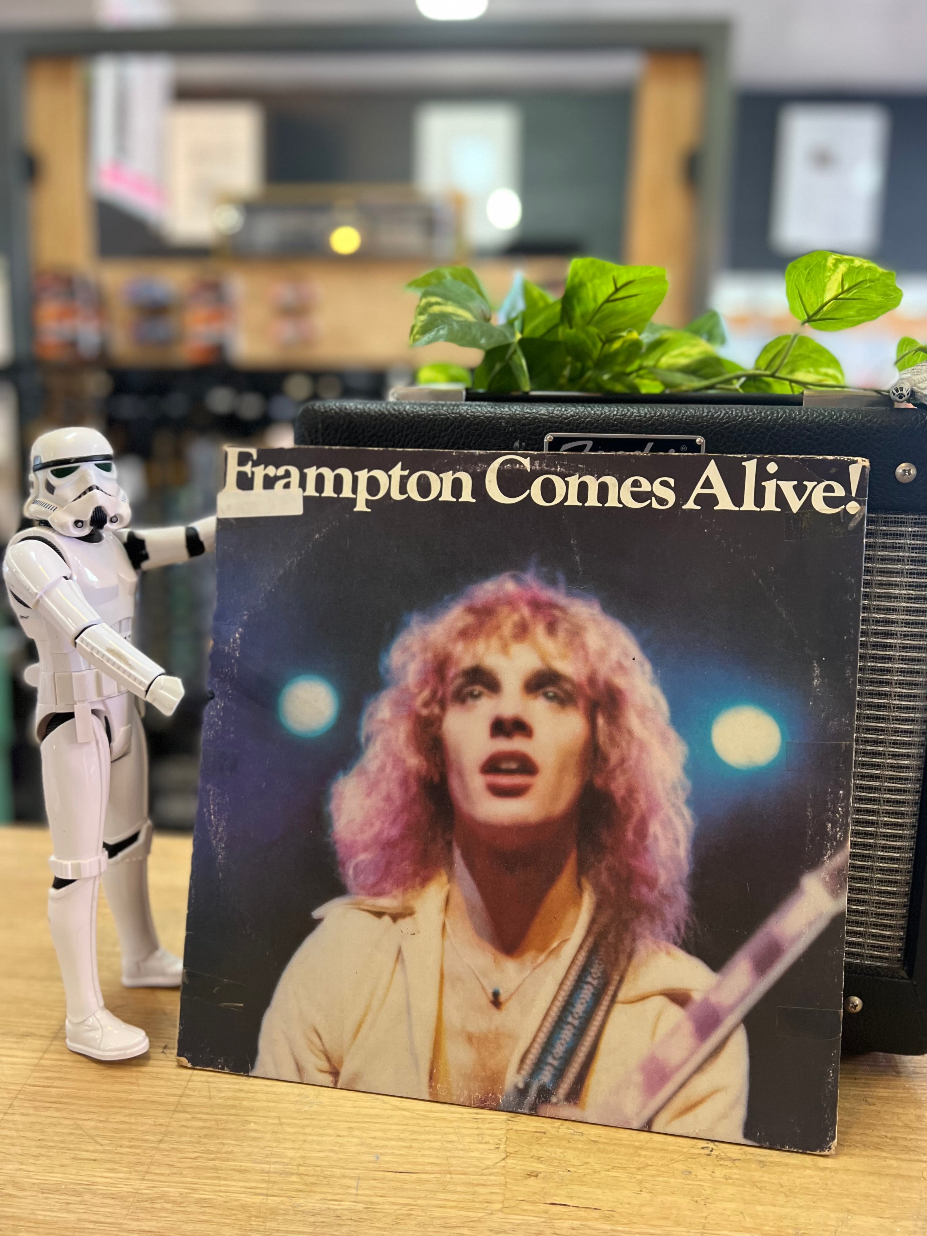 Peter Frampton | Frampton Comes Alive! | 1976 Pressing | Vintage Vinyl Peter Frampton | Frampton Comes Alive! | 1976 Pressing | Vintage Vinyl